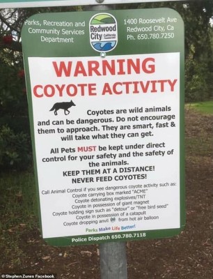8891018-6623867-This_coyote_warning_sign_from_Redwood_City_in_California-a-7_1548259076901.jpg