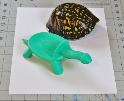 3D Turtle 2_xl1.jpg